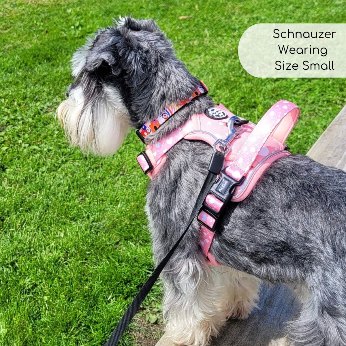 Rugged Rover™ Harness - Peachy Hearts