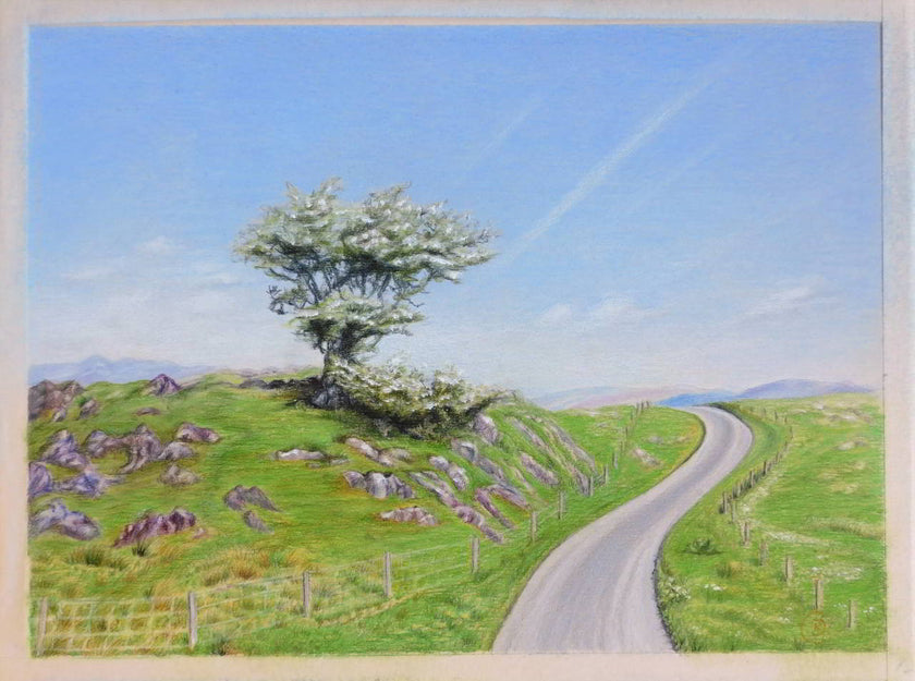 Scottish Landscape With a Tree Growing on Stones