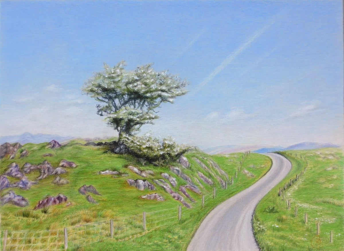 Scottish Landscape With a Tree Growing on Stones