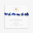 Lapis Lazuli Bracelet and Earring Set