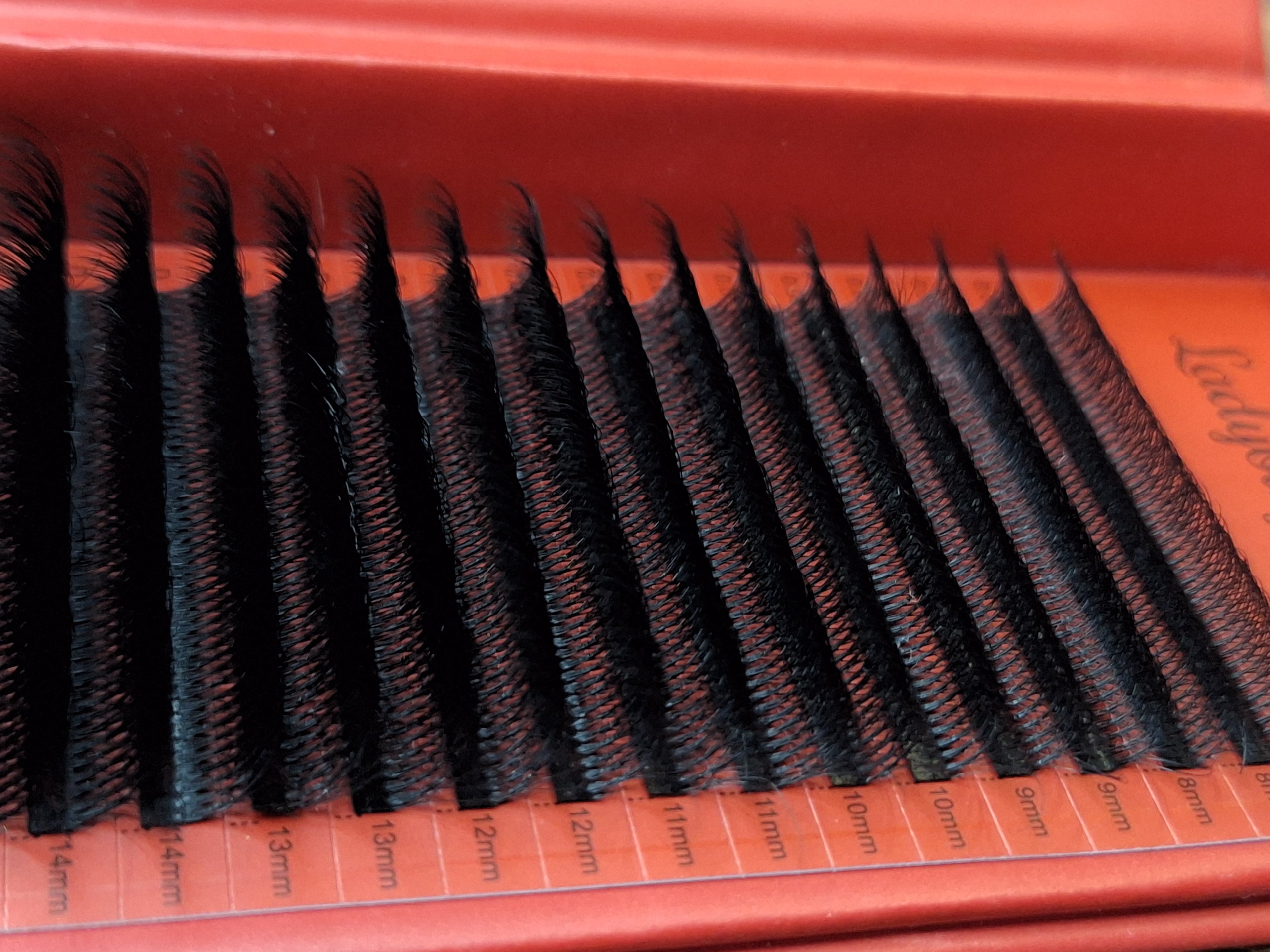 10D Clover Lash 16 Row Mixed Tray