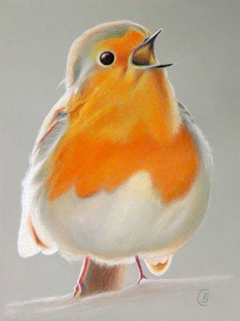 Singing Robin Original Drawing