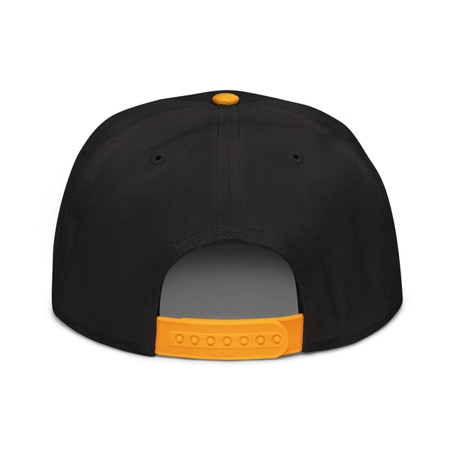 Swiss - Snapback Hat