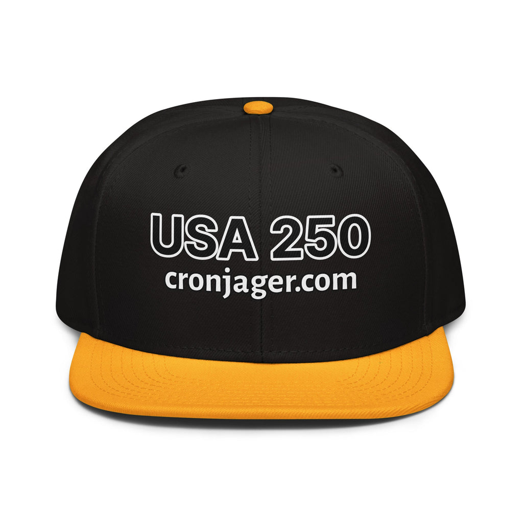 USA 250 - Snapback Hat