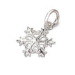 Snowflake Silver Charm