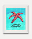 Spiny Starfish - Cornish Sea Life Series - Giclée Print