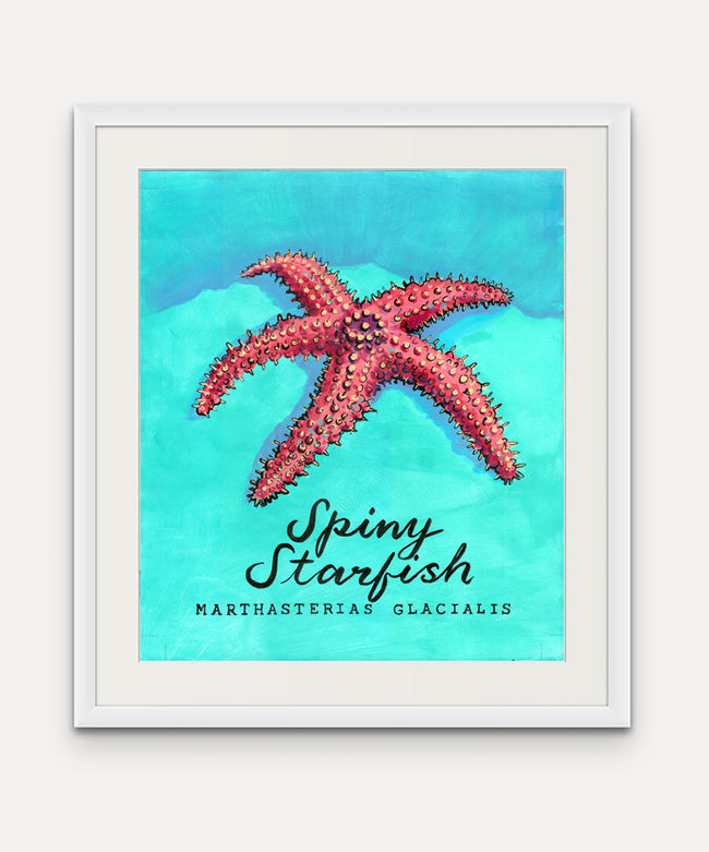 Spiny Starfish - Cornish Sea Life Series - Giclée Print