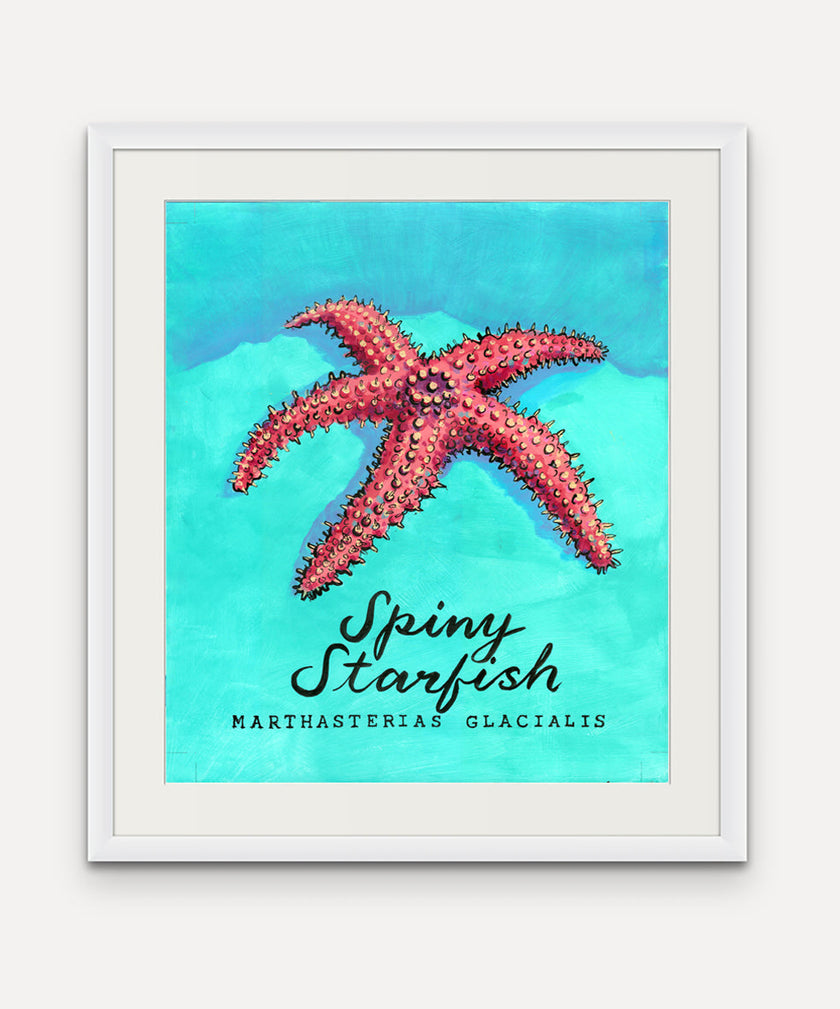 Spiny Starfish - Cornish Sea Life Series - Giclée Print