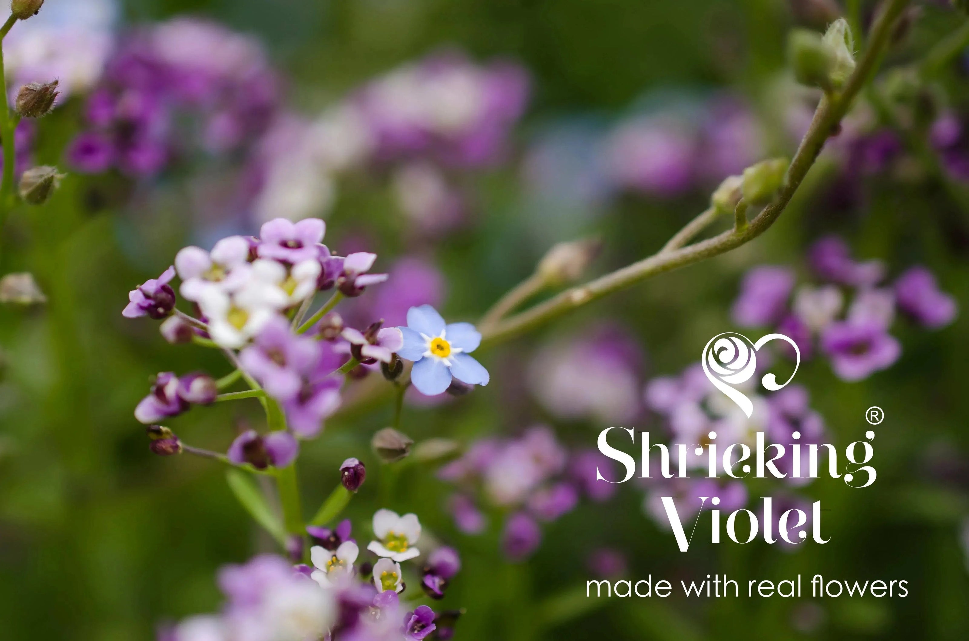 Mixed Flower Heart Stretch Silver Beaded Bracelet