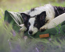 THE RICHMOND | LUXURY GREEN BOLSTER DOG BED
