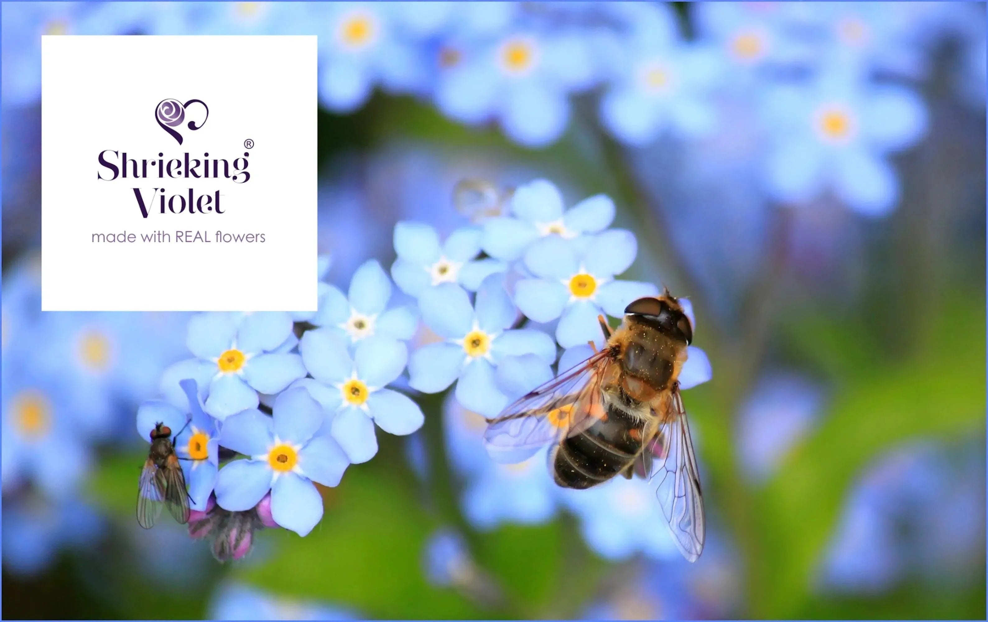 Forget-Me-Not Round Stud Earrings