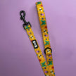 Summer Buzzin’ 5ft dog lead