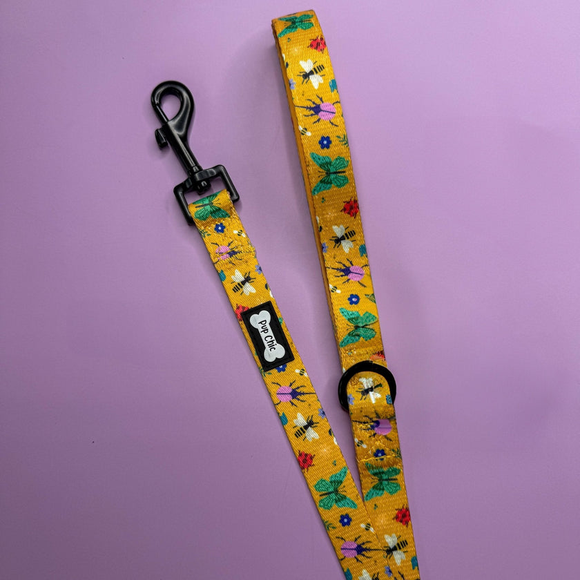 Summer Buzzin’ 5ft dog lead
