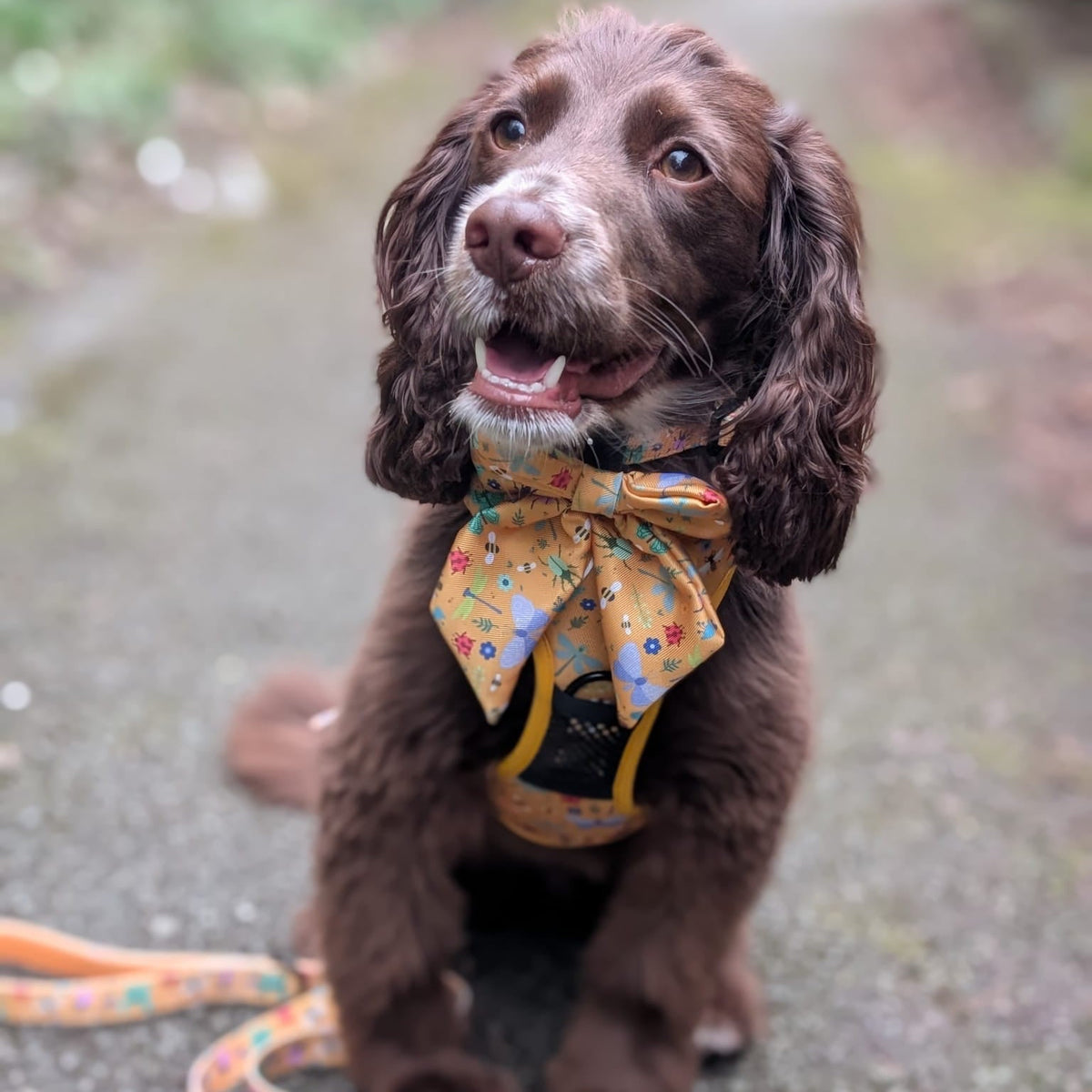 Summer Buzzin' No Pull Tactical Dog Harness