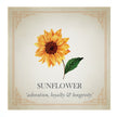 Pendientes de plata con diseño de girasol