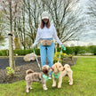 Dog Walking Bum Bag - Tan