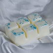 Fairy Dust - Wax Melt Clamshell