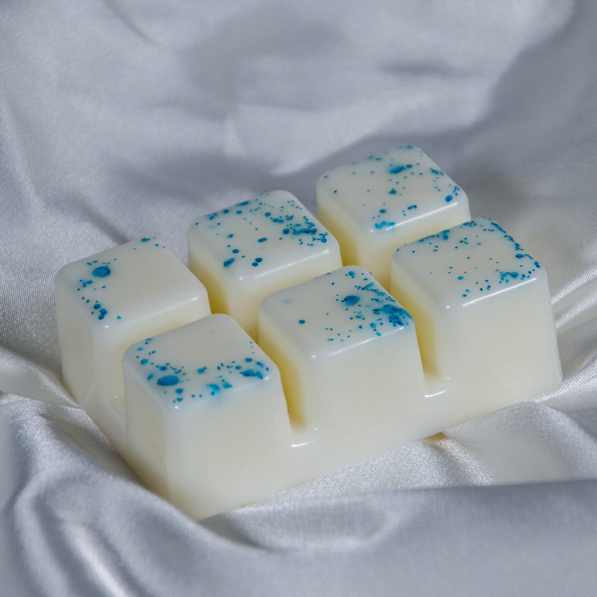 Fairy Dust - Wax Melt Clamshell