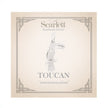Toucan Parrot Silver Charm
