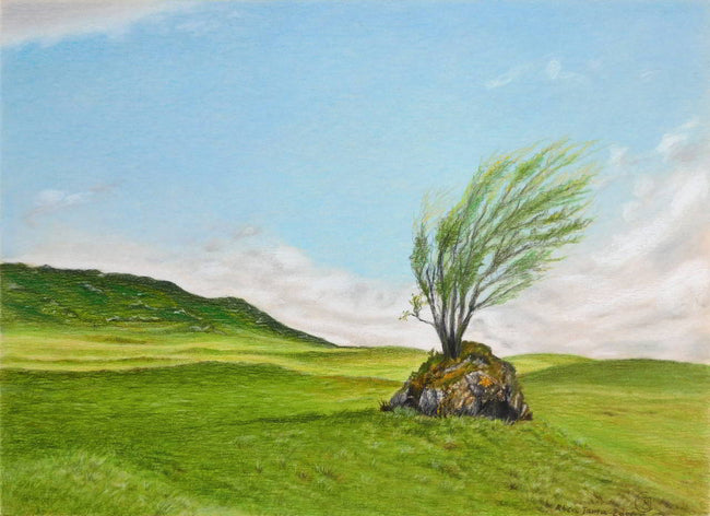 Tree Growing on a Rock, Scottish Highlands Drawing