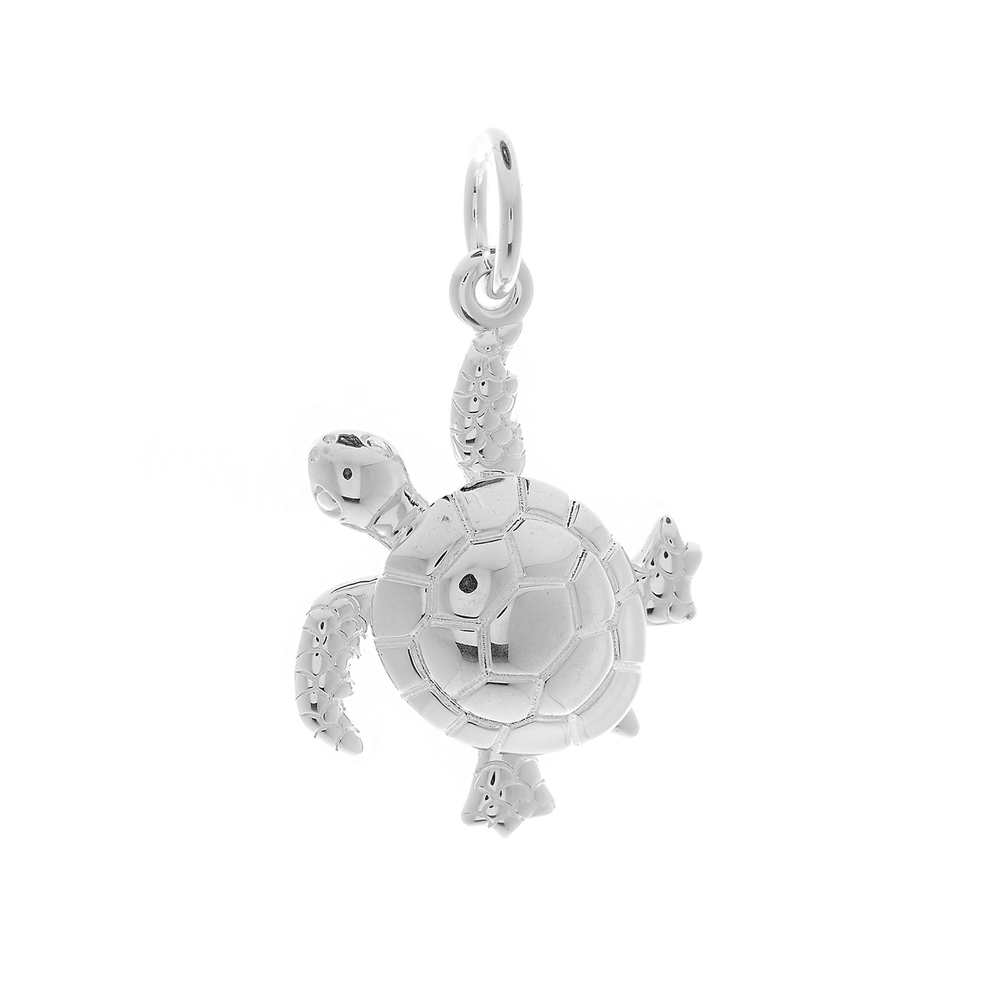 Turtle Silver Charm