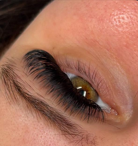 Platinum Volume Lashes 16 Row Mixed Tray