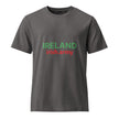 IRELAND - Unisex Garment Dyed Creator 2.0 Vintage T-Shirt | Stanley/Stella SATU041