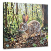 Rabbit's Woodland Canvas