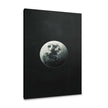Solitary Planet Canvas