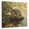 Turtle's Ascent Canvas