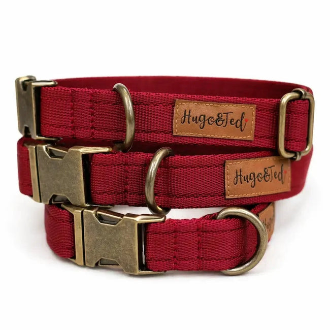 Collares impermeables para perros - Listos para usar