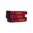 Waterproof Dog Collars - Ready Made