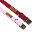 Waterproof Dog Collars - Ready Made