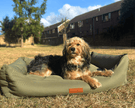 THE HENLEY | LUXURY ORTHOPAEDIC WATERPROOF BOLSTER DOG BED