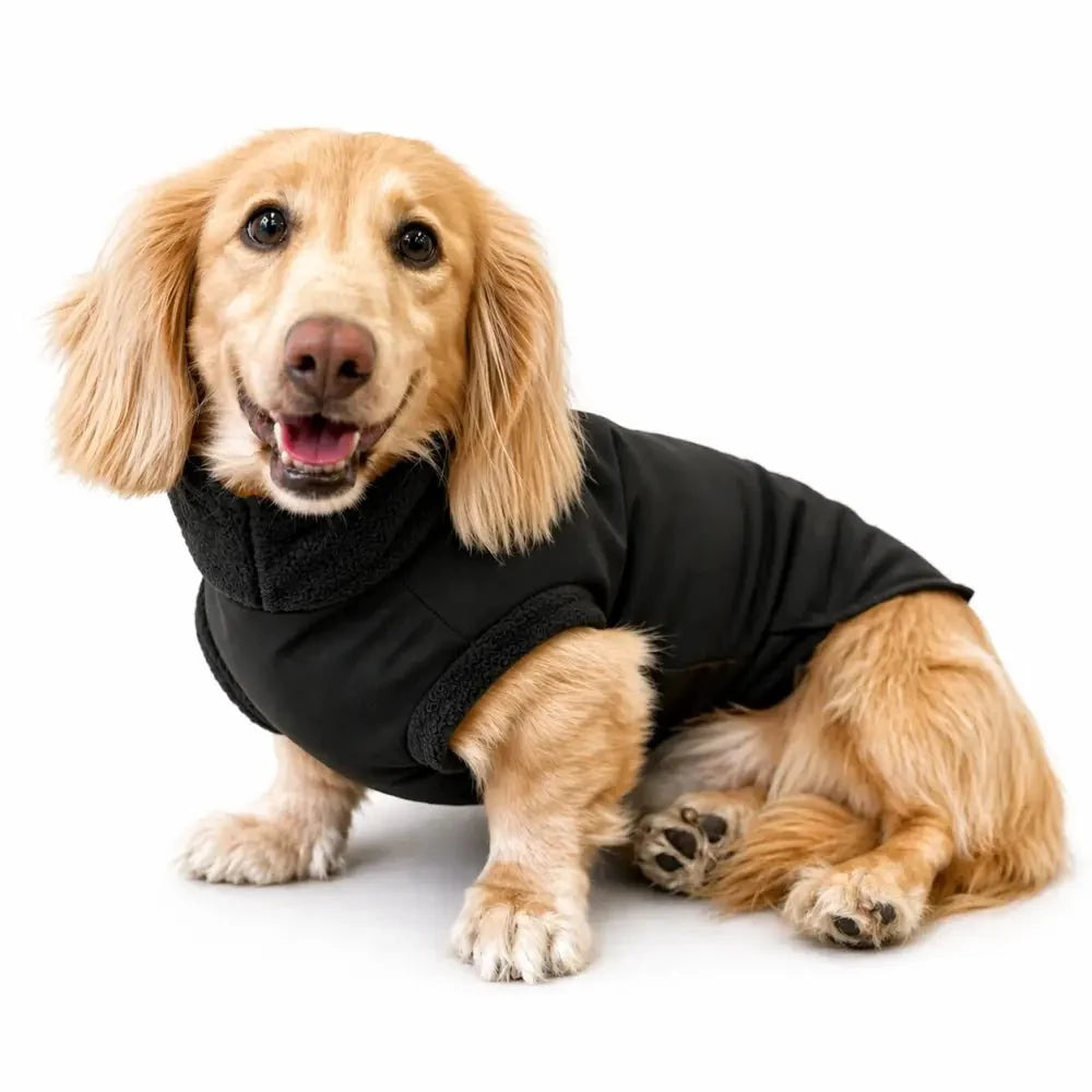 Waterproof Rainfleece Dog Coat - Standard Sizes, Ready Made