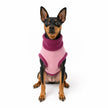 Waterproof Rainfleece Dog Coat - Standard Sizes, Ready Made