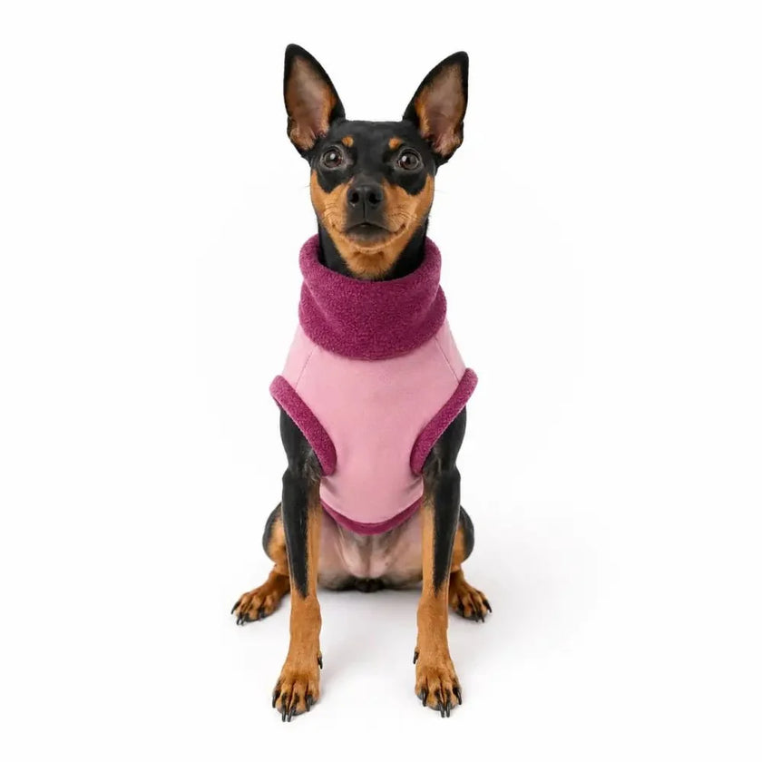 Waterproof Rainfleece Dog Coat - Standard Sizes, Ready Made